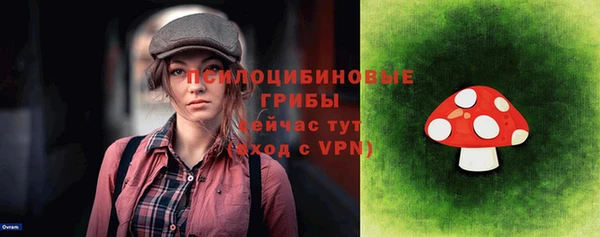 кокаин премиум Заводоуковск